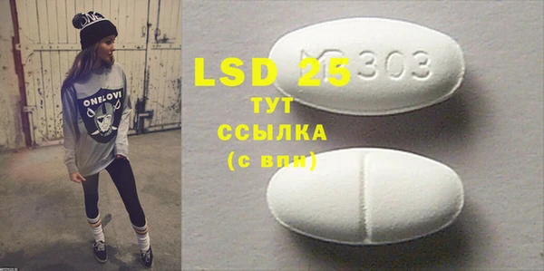PSILOCYBIN Аркадак