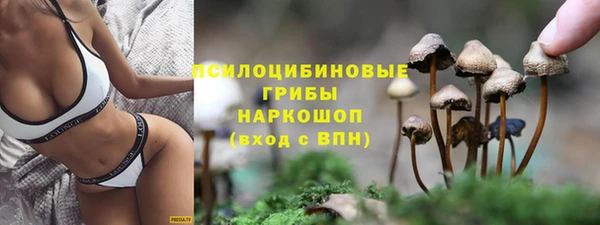 МДПВ Арсеньев