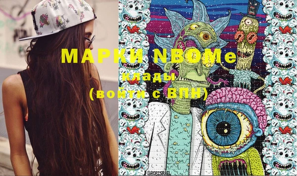 прущий лед Дмитриев